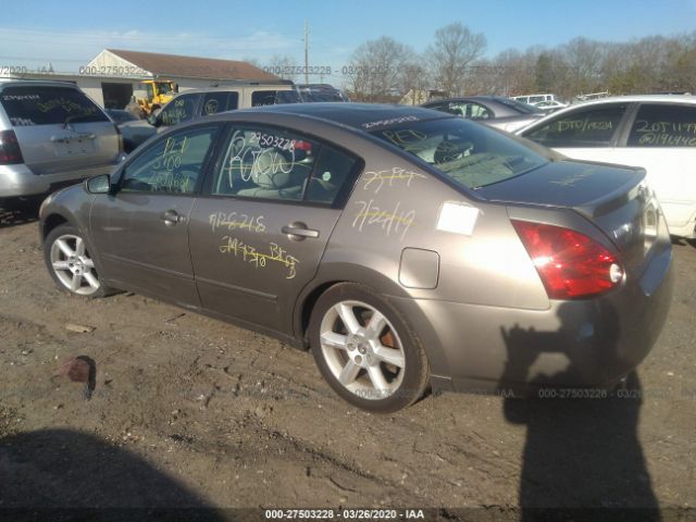 1N4BA41E35C876807 - 2005 NISSAN MAXIMA SE/SL Tan photo 3