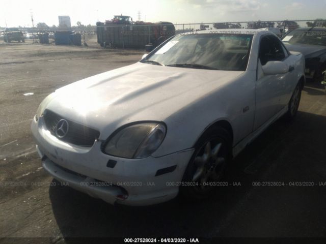 WDBKK47FXXF116137 - 1999 MERCEDES-BENZ SLK 230 KOMPRESSOR White photo 2