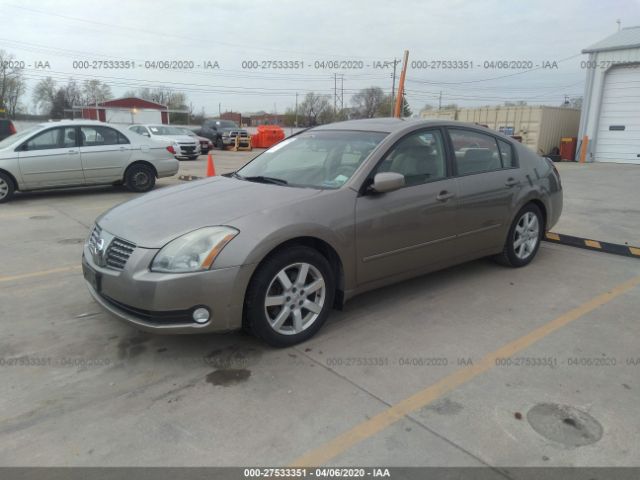 1N4BA41E75C832017 - 2005 NISSAN MAXIMA SE/SL Gold photo 2