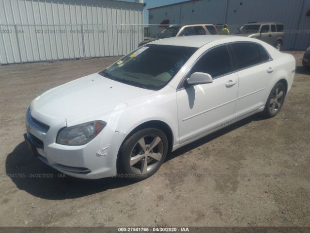 1G1ZC5E1XBF217934 - 2011 CHEVROLET MALIBU 1LT 白色 照片 2