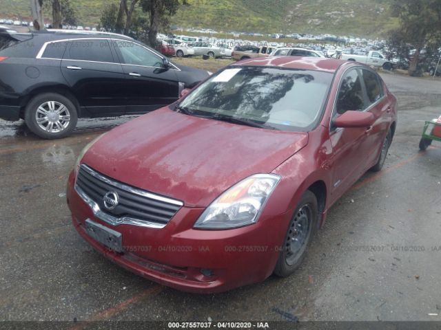 1N4CL21E87C199842 - 2007 NISSAN ALTIMA HYBRID Red photo 2