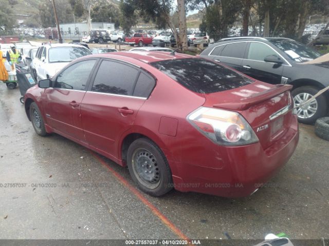 1N4CL21E87C199842 - 2007 NISSAN ALTIMA HYBRID Red photo 3