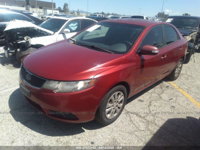 KNAFU4A28A5069221 - 2010 KIA FORTE EX Burgundy photo 2