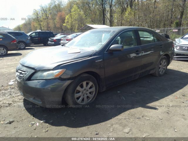 4T1BB46K69U065195 - 2009 TOYOTA CAMRY HYBRID Gray photo 2