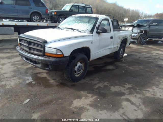 1D7GG16X83S274940 - 2003 DODGE DAKOTA SXT White photo 2