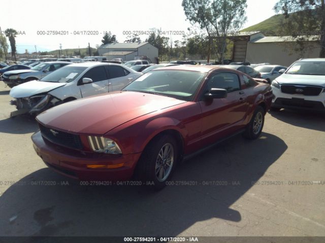 1ZVFT80N155134499 - 2005 FORD MUSTANG  Red photo 2