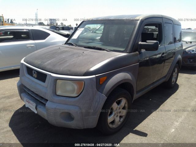 5J6YH18673L021290 - 2003 HONDA ELEMENT EX Black photo 2