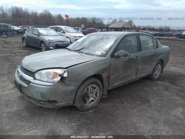 1G1ZS52F74F202300 - 2004 CHEVROLET MALIBU  Green photo 2