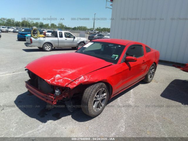 1ZVBP8AM0E5254254 - 2014 FORD MUSTANG  Red photo 2