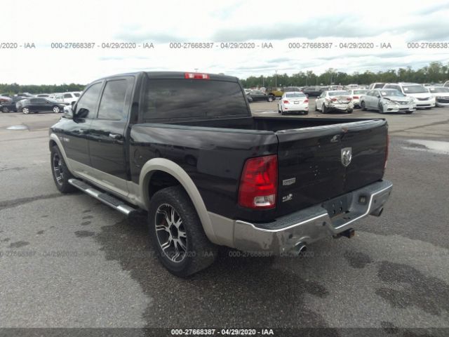 1D3HB13T69S717214 - 2009 DODGE RAM 1500  Brown photo 3